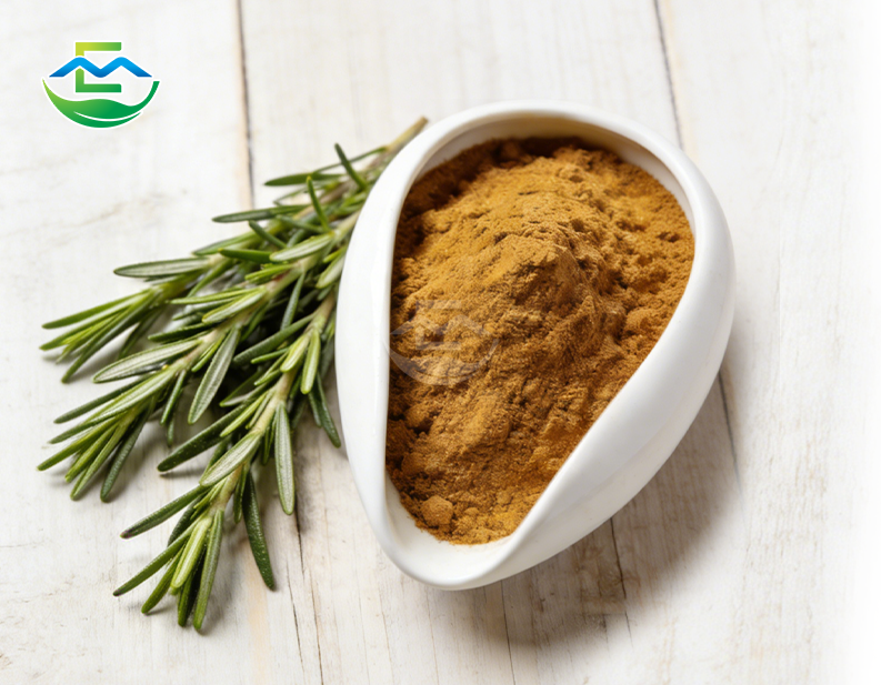 Rosemary Extract 50% Rosmarinic acid
